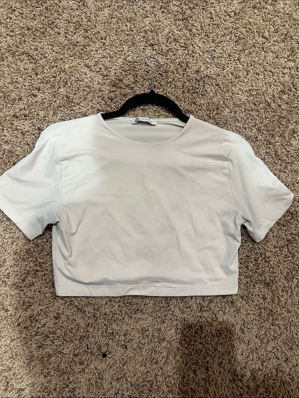 Zara Light Gray Cropped Crewneck Tee size L